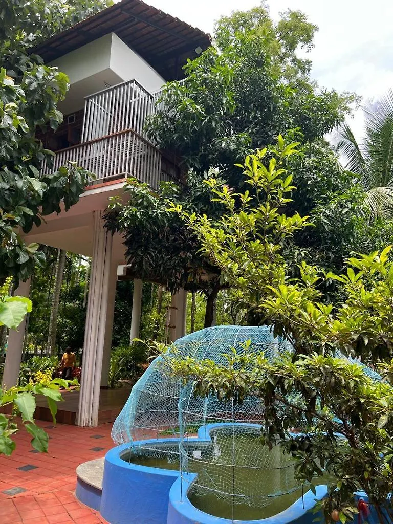 Serenity Villa And Treehouse Palakkad