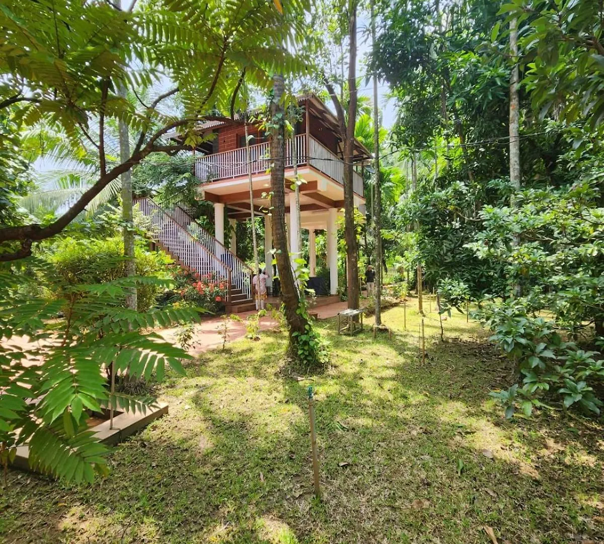 Serenity Villa And Treehouse Palakkad
