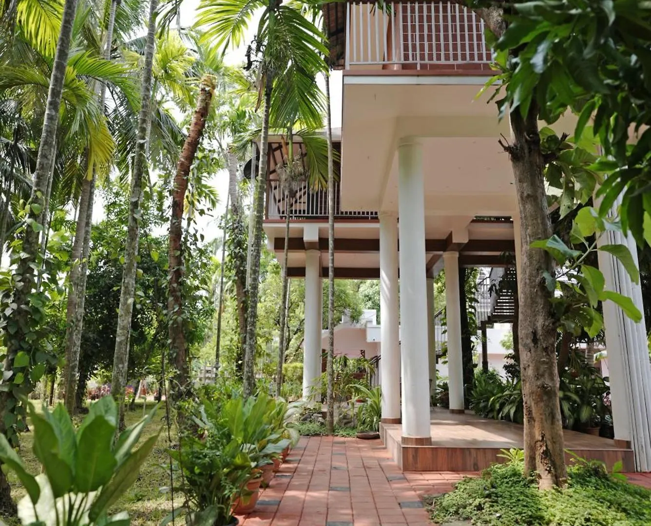 Serenity Villa And Treehouse Palakkad India